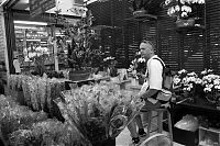 Chatuchak Weekend Market
