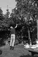 Donnie's Garden