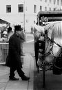 Horse and Carriage Driver