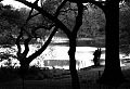 Lake in Central Park