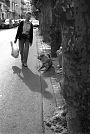 Dog, Woman and Baguette