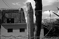 Fence, Tree, Buildings