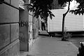 Leaves and Man Unloading Truck