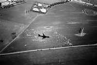 Aeroplane Shadow on Field