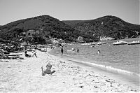 The Island 3