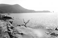 The Island 2