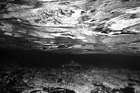 The Island 14