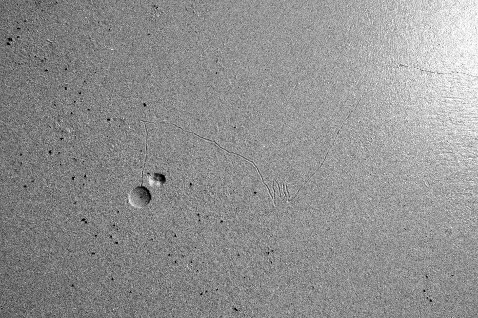 001-GRS-20100307-160931