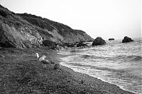 The Island 4