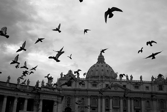 024 Pigeons Flying In Piazza San Pietro