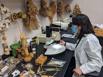 A U.S Department of Agriculture (USDA) Animal and Plant Health Inspection Service, National Identification Services (NIS) botanist examines seeds from an unsolicited package of seeds under a microscope. NIS scientists are stationed around the country at federal research laboratories, plant inspection stations, land-grant universities, and natural history museums. USDA Photo.