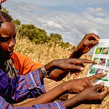 Farmers discussing a plant pest factsheet on the field.