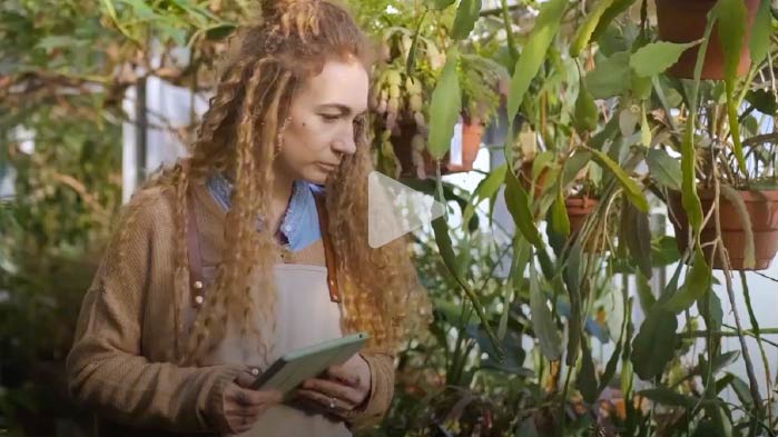 Woman in greenhouse studying plants.