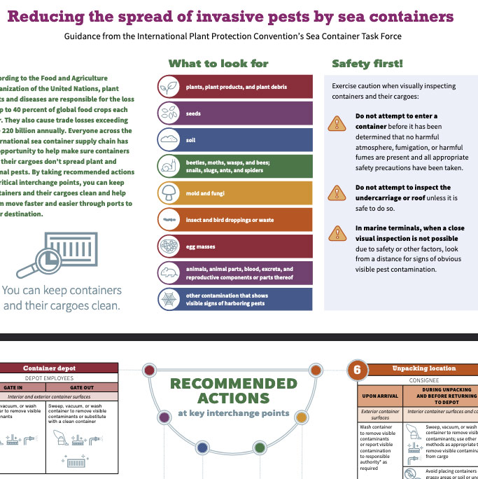 Pests in wood pallets infographic document.